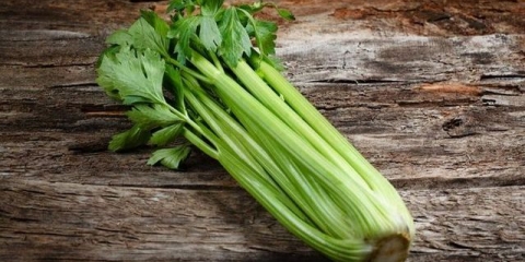 Šta je celer - svojstva i prednosti